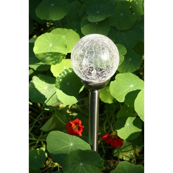 lampe solaire professionnel