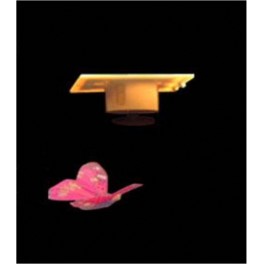 Papillon solaire suspendu volant (8 cm) Papillon solaire suspendu volant (8 cm)